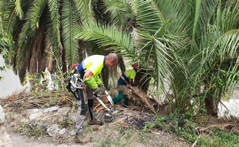 trabajo tenerife norte|Nuevos trabajos de Tenerife norte en Santa Cruz de Tenerife